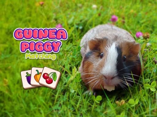 Screenshot van Guinea Piggy Matching