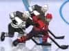 Screenshot van Hockey Hero