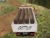 Screenshot van Indian Truck Simulator 3D