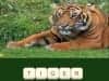 Screenshot van Zoo Trivia