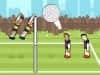 Screenshot van Volley Random